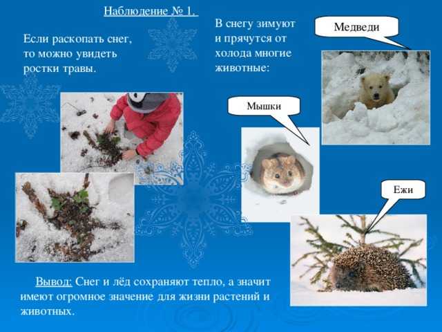 Древнеегипетский бог анубис и 10 интересных фактов о нем.
