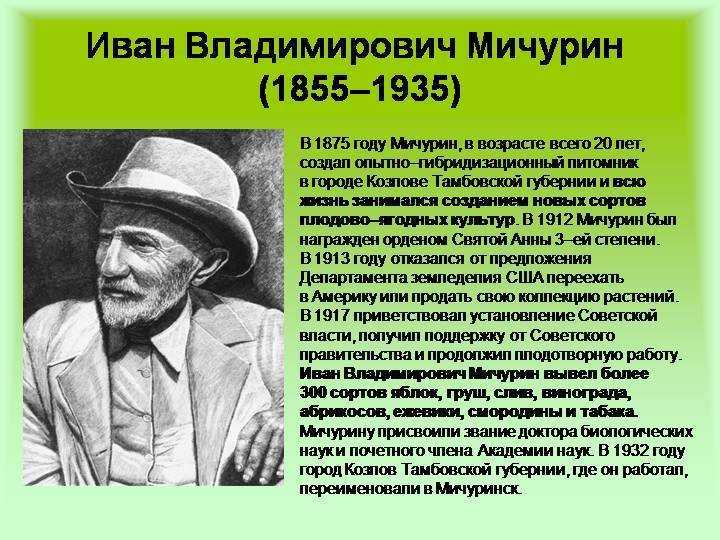 Мичурин биография фото