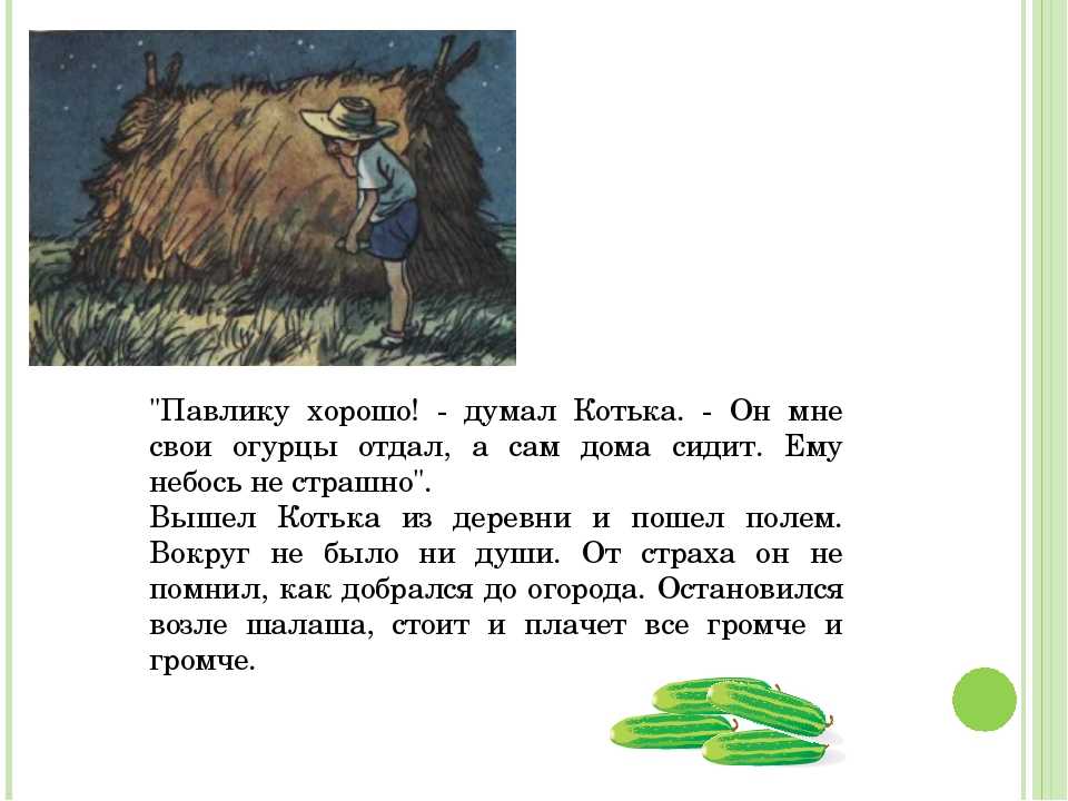 Домашний тарантул - виды, особенности содержания, питание