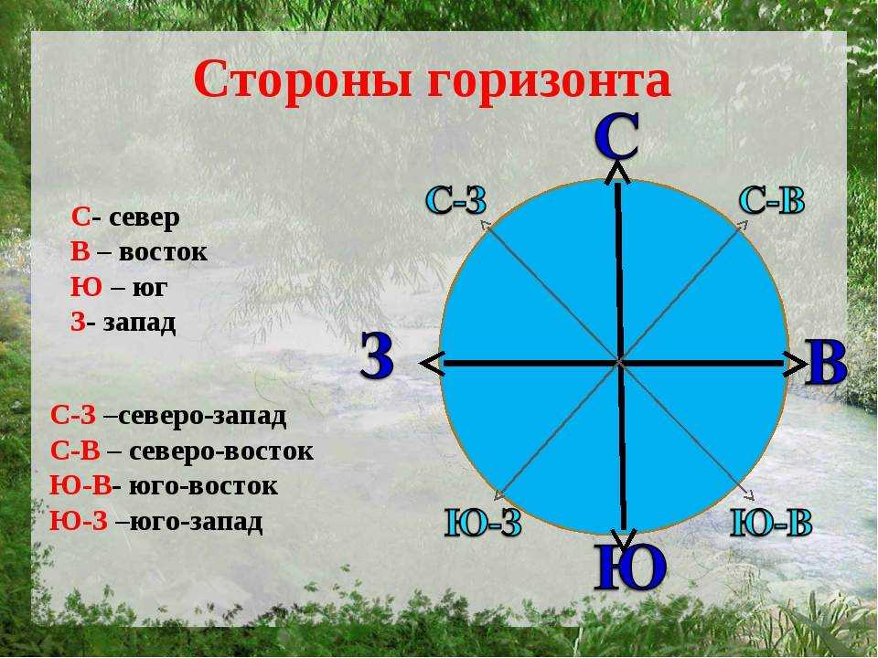 Ориентирование на местности