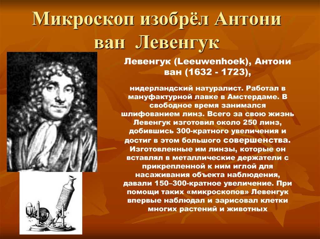 Что сделал левенгук в биологии. открытие антония левенгука