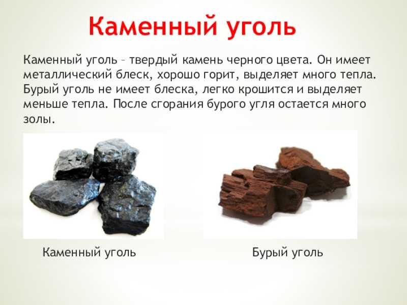 Полезные ископаемые россии: месторождения, запасы, виды, рельеф и характеристика — природа мира