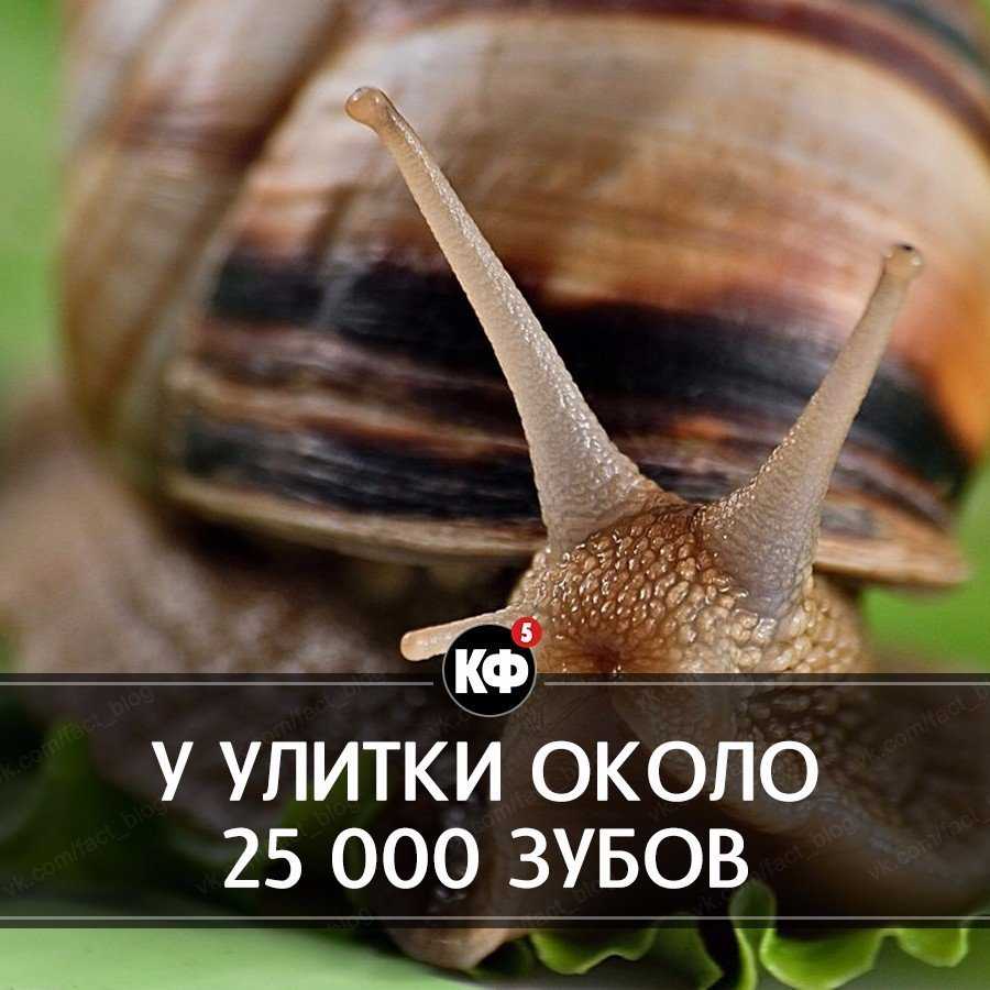 Достопримечательности румынии: лучшие туристические места, фото и описание
