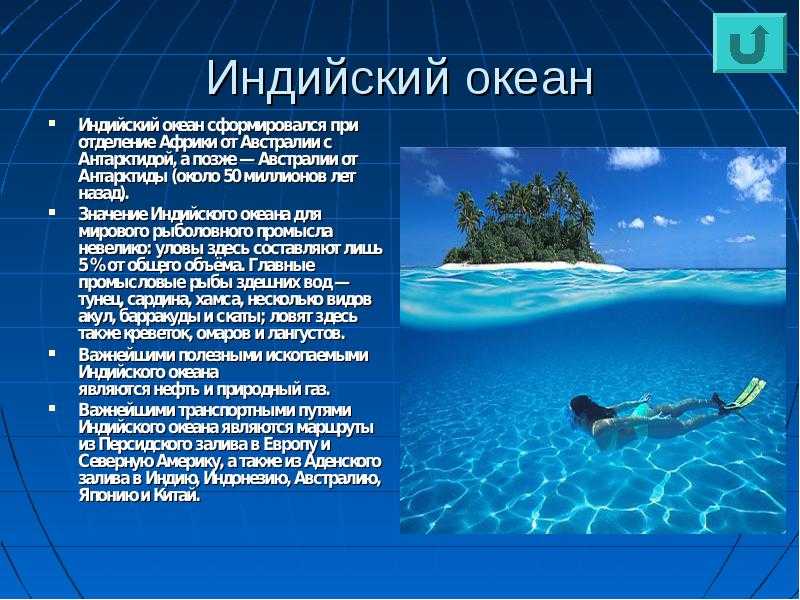 Моря и океаны описание и характеристика (география, 7 класс): рельеф дна, течения и другие особенности