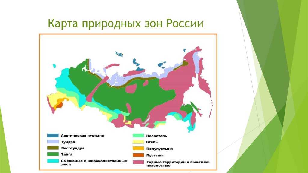 Топ-10 самых больших равнин россии