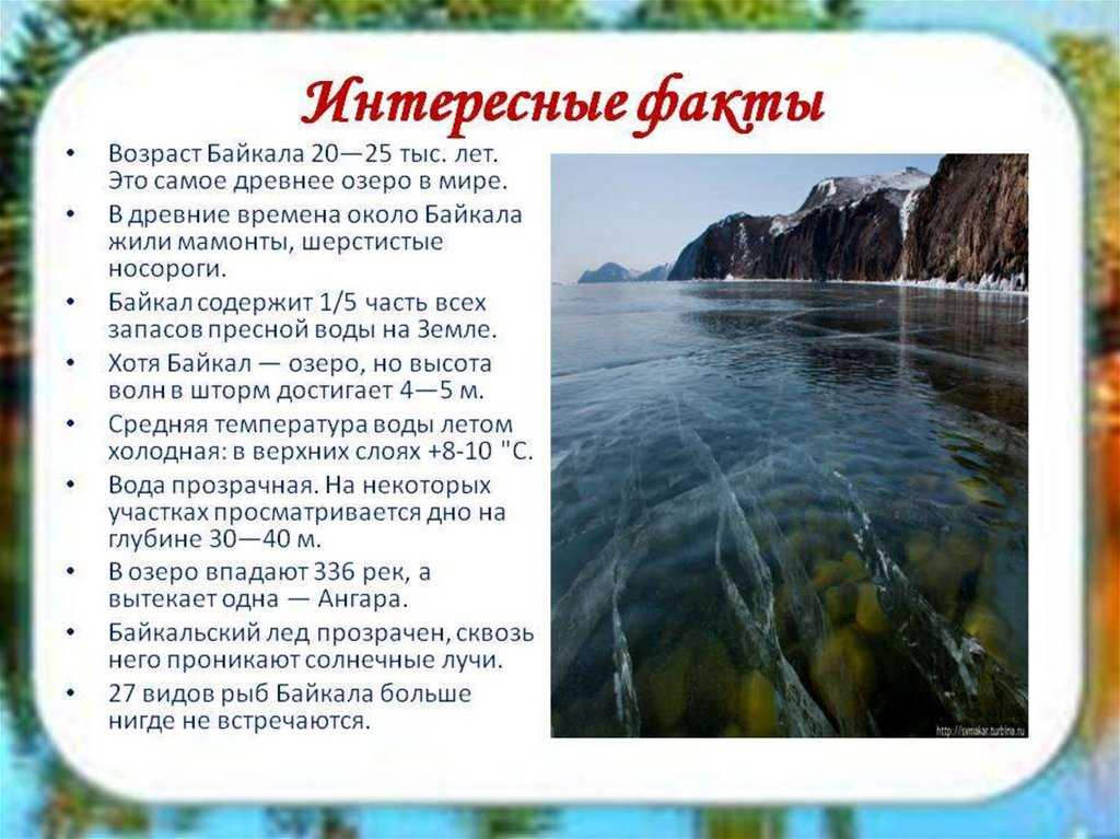 Байкал: интересные факты для детей, география, флора и фауна, история :: syl.ru
