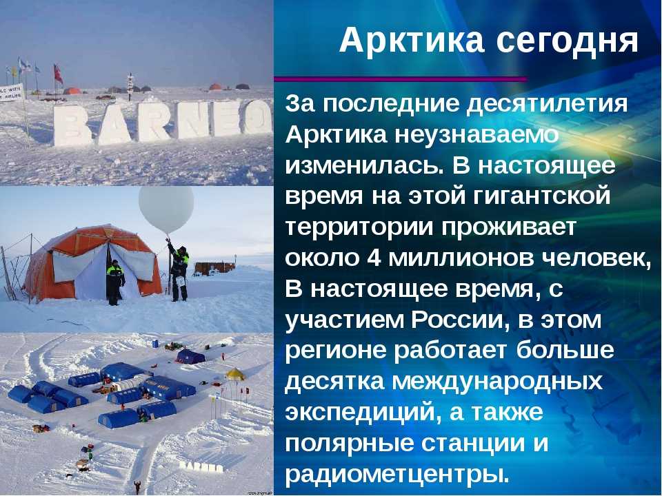 Метели и медведи: как выживают россияне в условиях крайнего севера при -50
