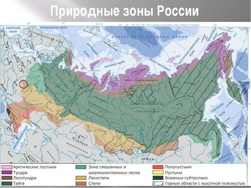 § 23. природные зоны россии