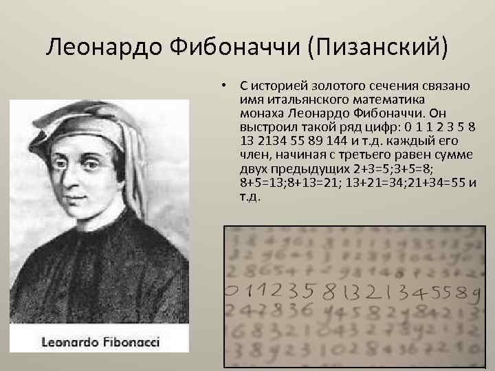 Числа фибоначчи в природе - закон, загадки проявления ряда в жизни