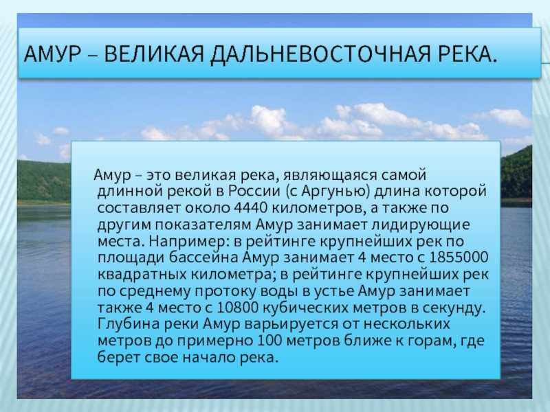 Река амур: история, характеристика, исток, притоки, флора, фауна. - наука - 2022