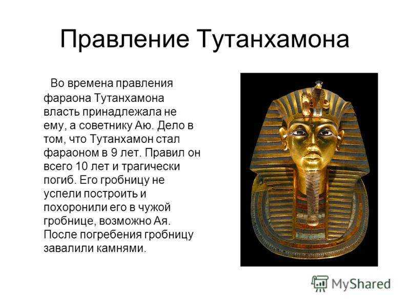 Нефертити была супругой фараона тутанхамона? история тутанхамона: биграфия, жена, пирамида