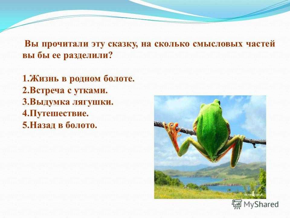 Лягушка путешественница план