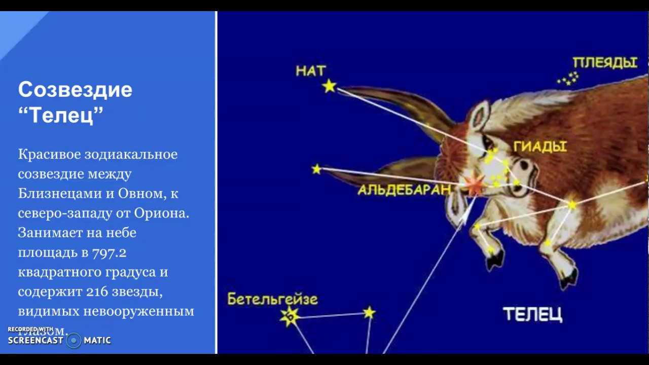 Созвездие тельца презентация астрономия