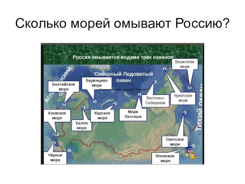 Полуостров камчатка на карте россии. природа камчатки фото