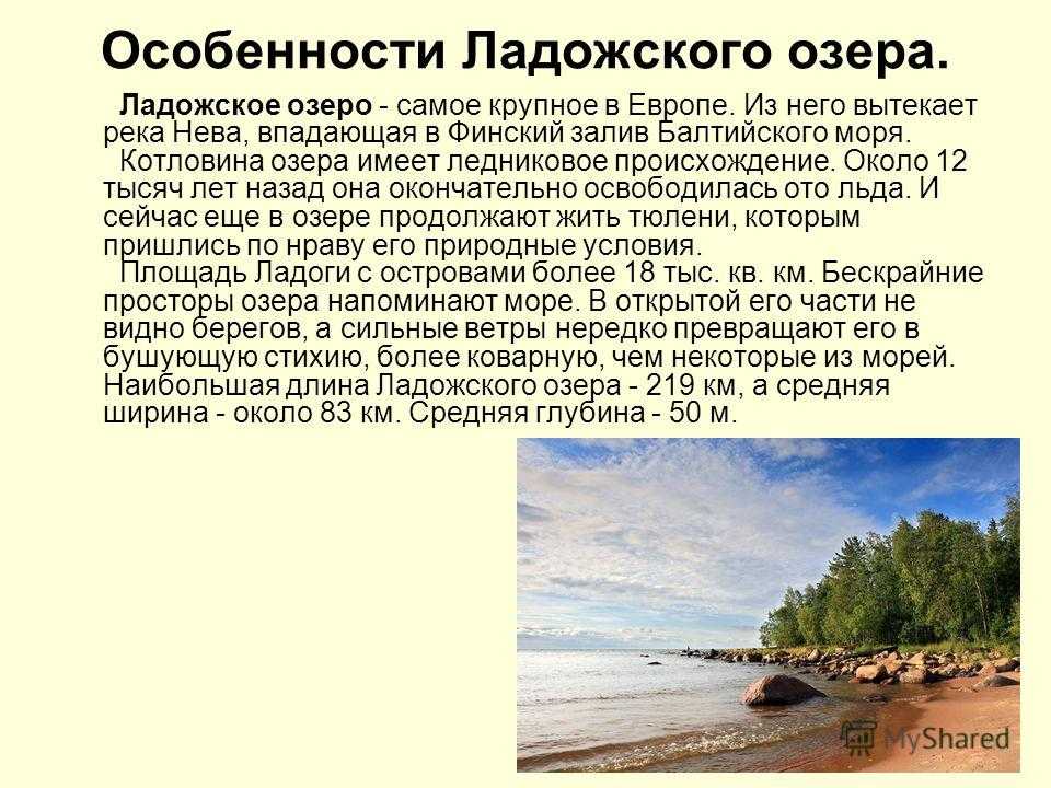 Ладожское озеро: описание, глубина, фото. рыбы ладожского озера