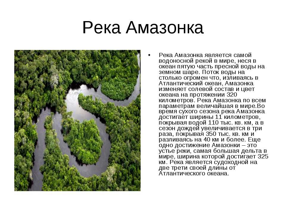 Характеристика реки амазонка по плану 6 класс география