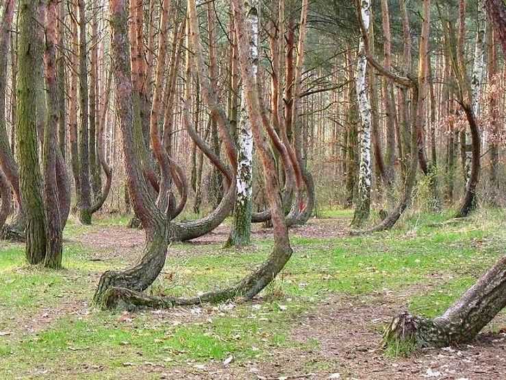 10 самых загадочных мест на планете