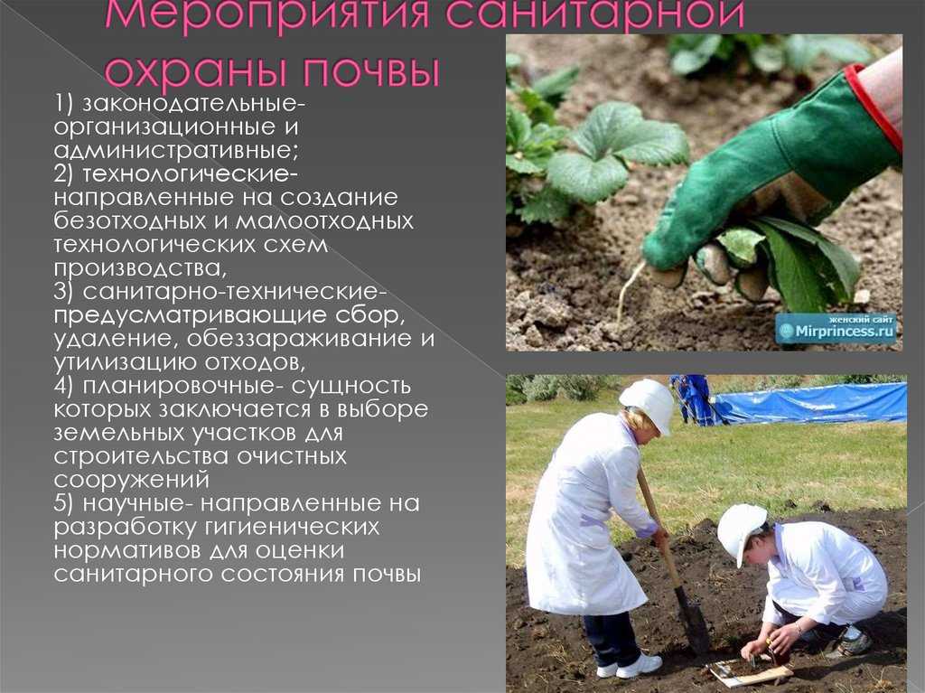 Природные богатства – проект по окружающему миру для школьников 3 и 4 класса