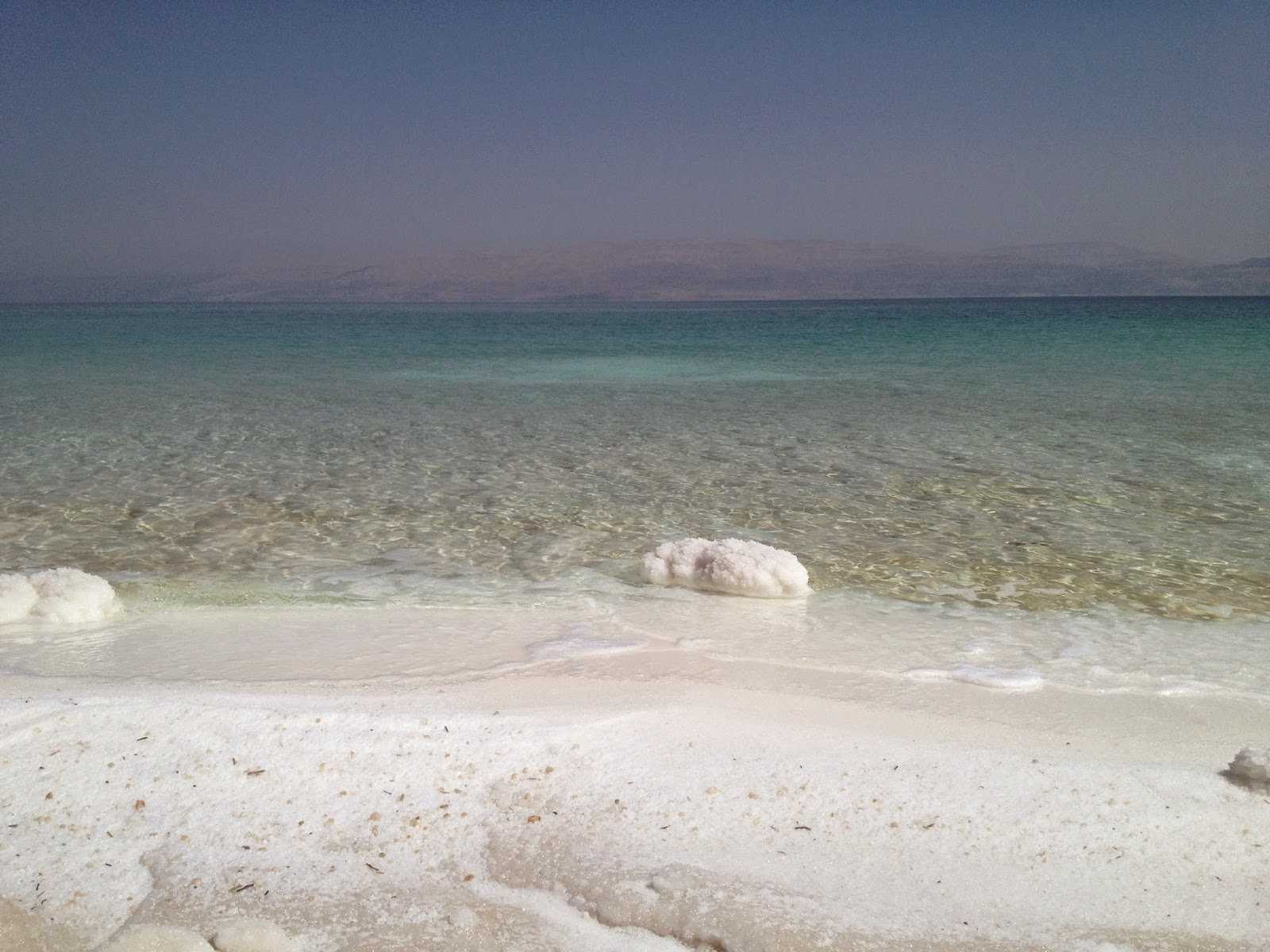 Отдых в израиле на мертвом море: лучшие курорты, достопримечательности, отзывы