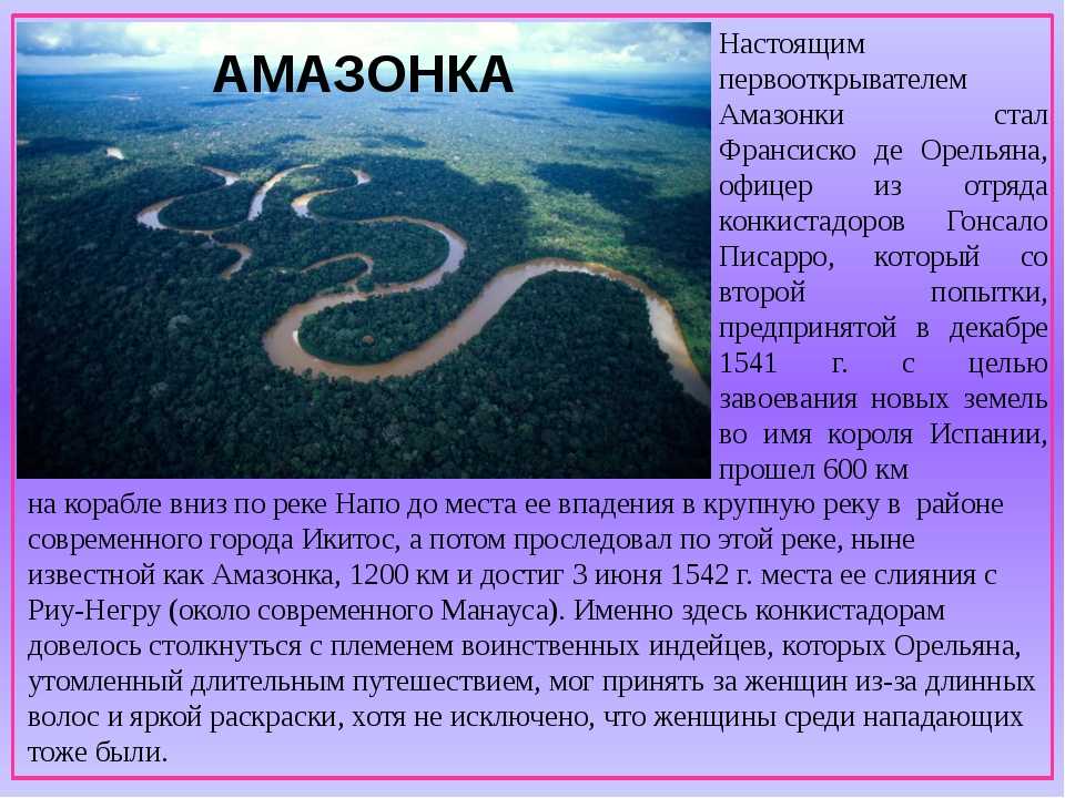 План описания реки амазонки география 7 класс. Реки Южной Америки презентация. Рассказ про амазонку. Река Амазонка презентация. Проект река Амазонка.