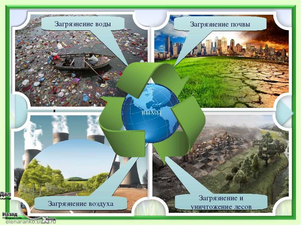 Влажность воздуха