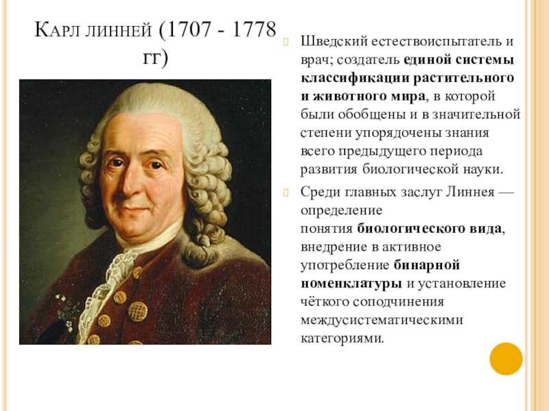 Карл линней — циклопедия