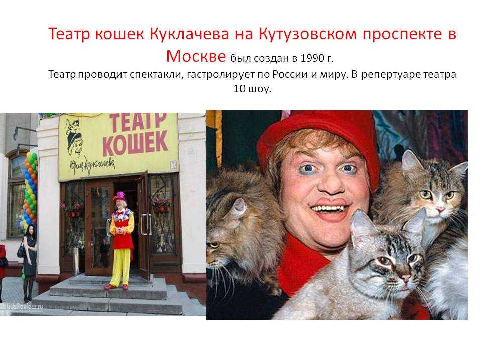 Театр кошек куклачева кутузовский просп 25 фото