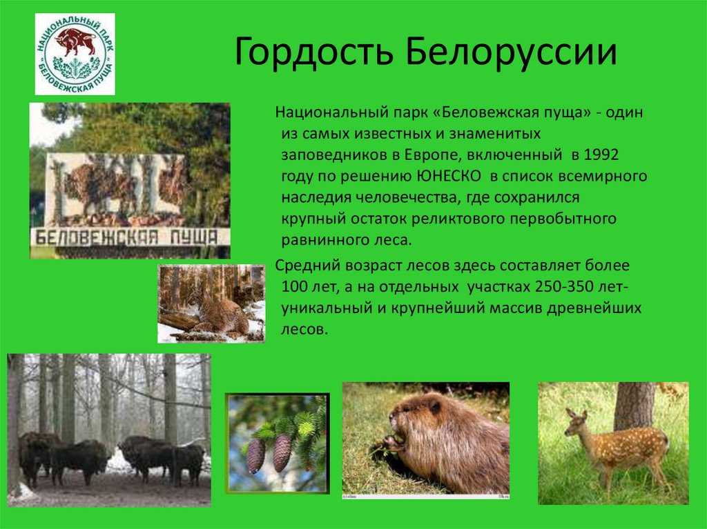 Топ-10 интересных фактов о беларуси