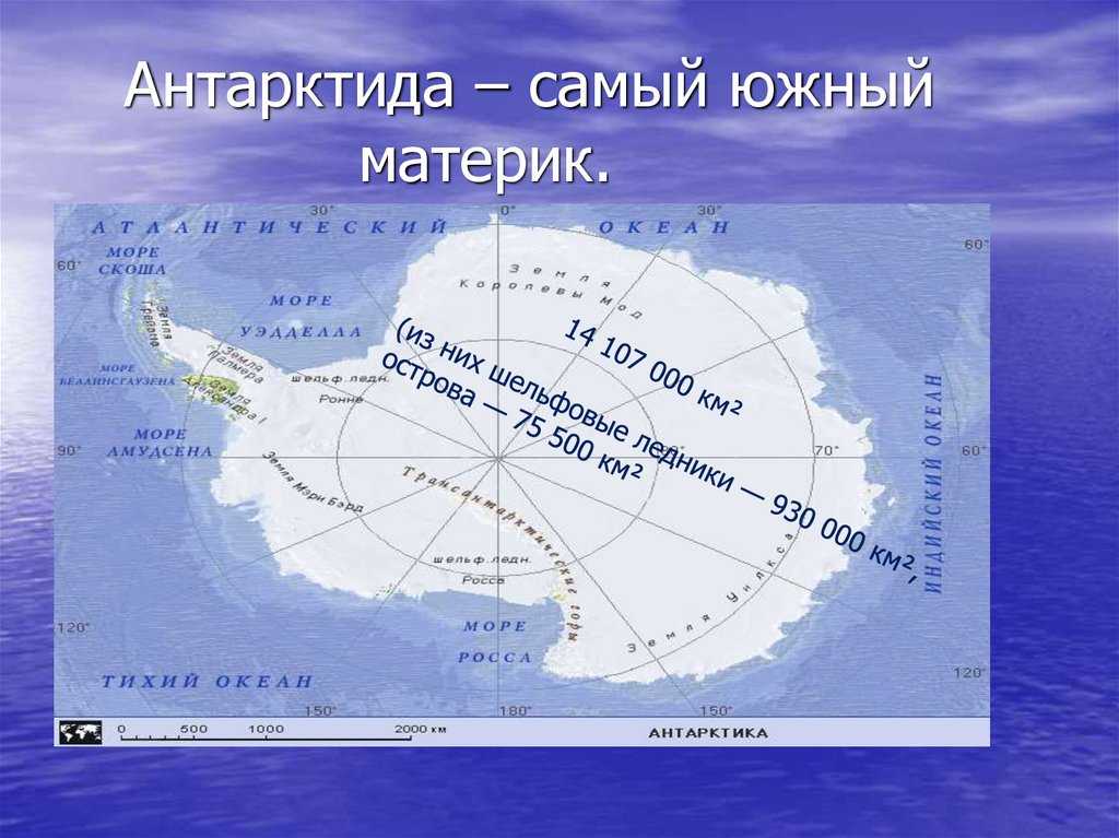 Географическое расположение территории Антарктиды описывалось задолго до ее научного подтверждения как материка Всемирно известные морепроходцы М П Лазарев и Ф Ф Беллинсгаузен, совершив очередную экспедицию,