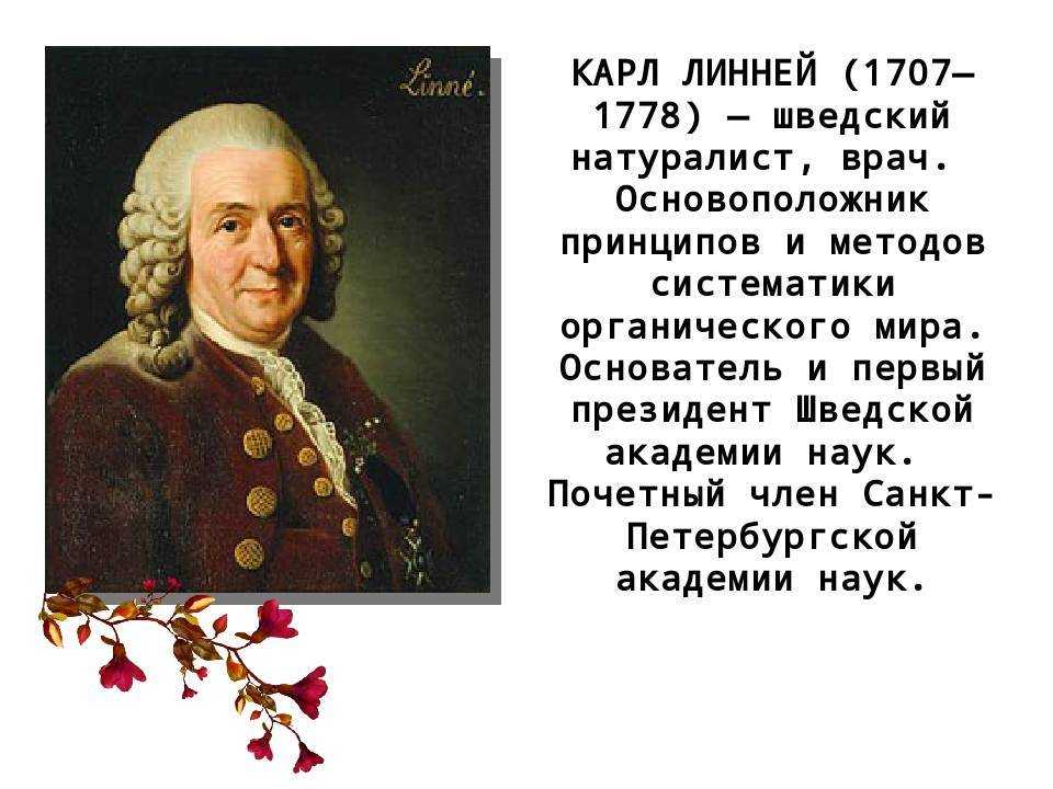 Биография карла линнея
