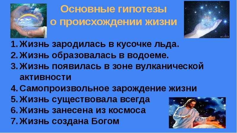 Жизнь в океане