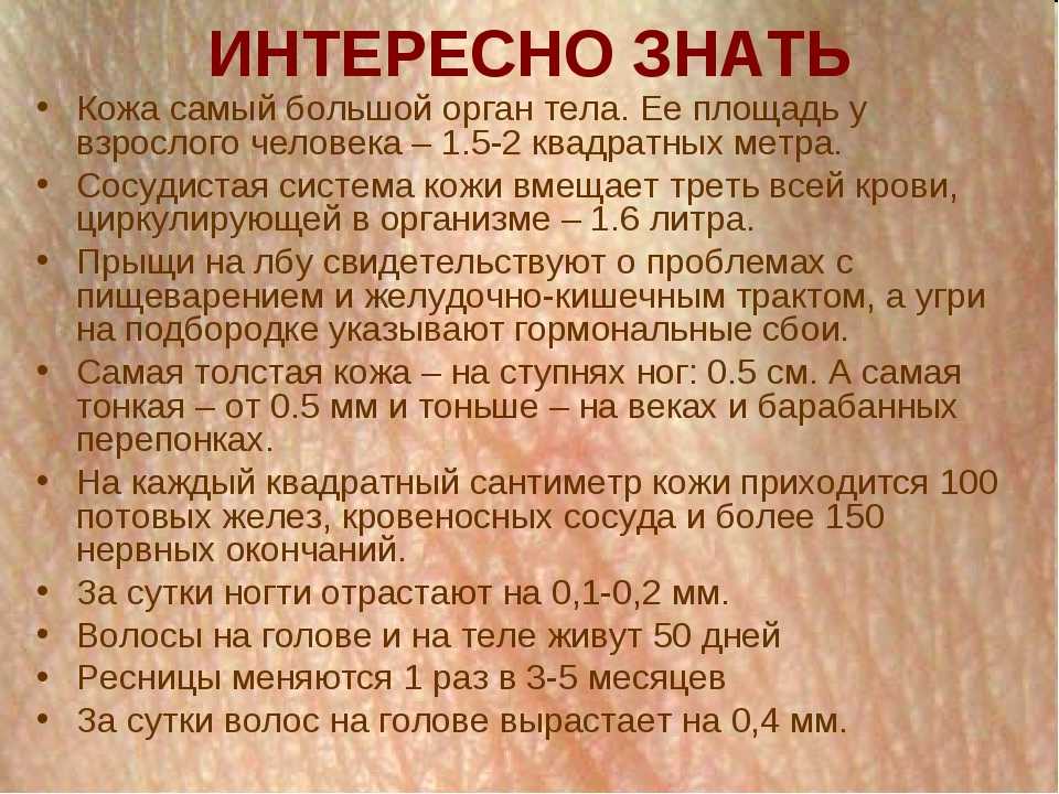 55 самых интересных фактов обо всем на свете • всезнаешь.ру