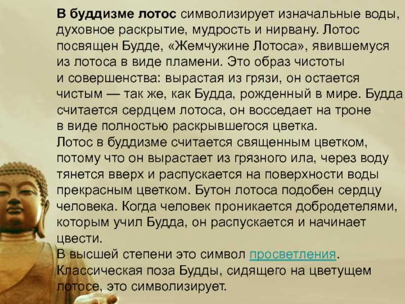 Жизнь будды проект 4 класс