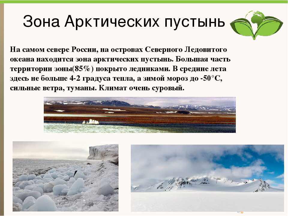 Какая природная зона за полярным кругом. Природные зоны России арктические пустыни. Арктические пустыни природная зона. Природные зоны зона арктических пустынь. Описание зоны арктических пустынь.