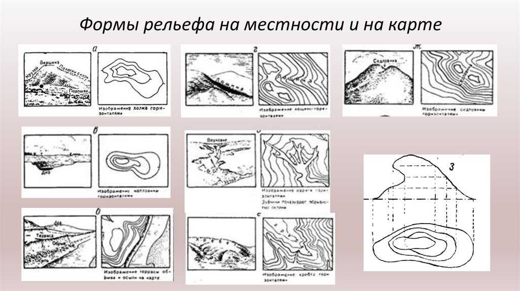 Чертеж небольшого участка земной поверхности выполненный в уменьшенном виде