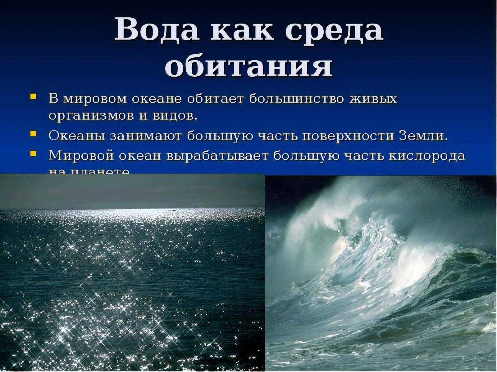 Черное море интересные факты для детей. 15 интересных фактов о черном море | интересные факты