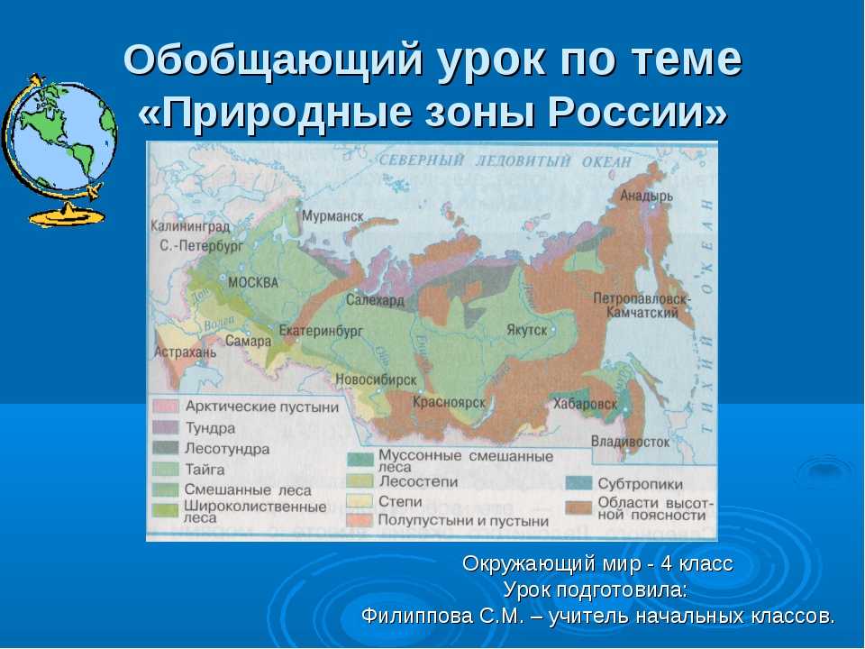 Смешанные и широколиственные леса россии