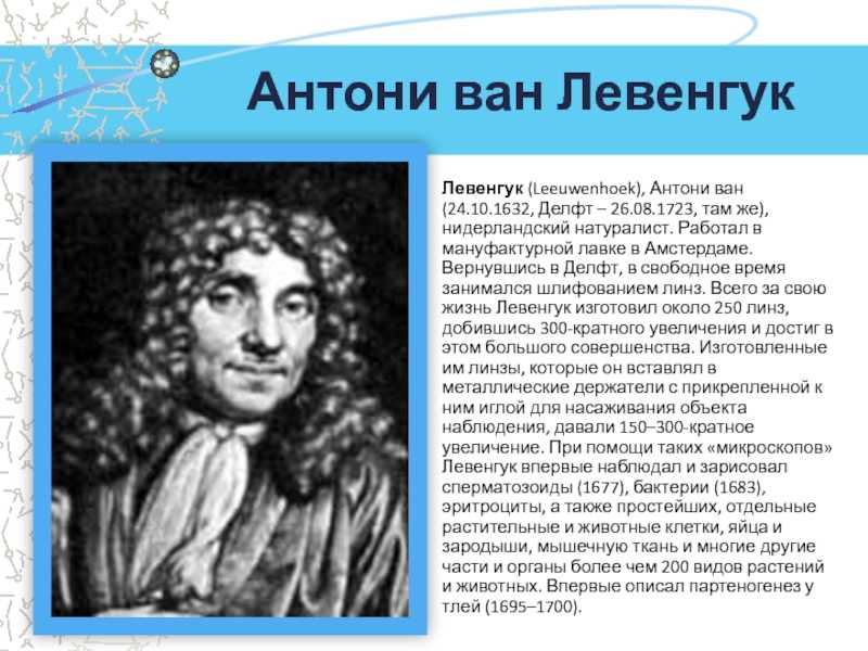 Антони ван левенгук биография. 1673 Антони Ван Левенгук.