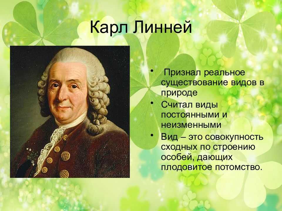Карл линней - вклад в биологию кратко, биография, деятельность