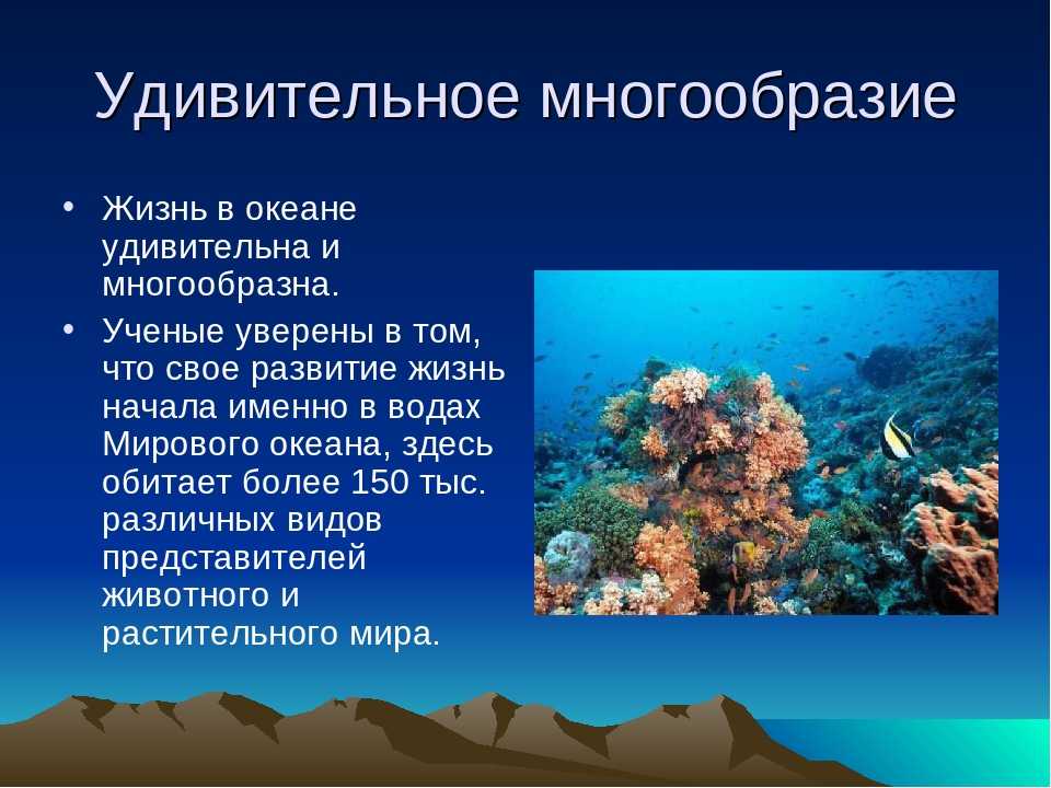 Жизнь в океане география 6 класс кратко. Сообщение жизнь в океане. Океан информации. Особенности жизни в океане. Организмы морей и океанов.