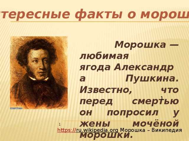 Интересные факты о пушкине