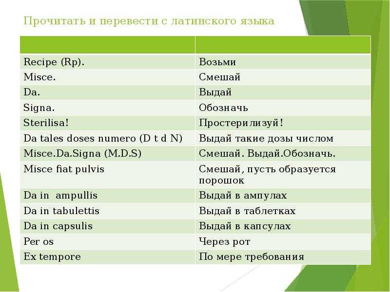 80 красивых латинских слов и фраз для названий, для ника или бренда