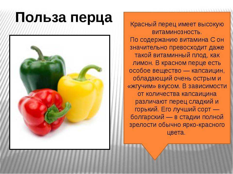 Сладкий перец: древняя история и интересные факты | огородники