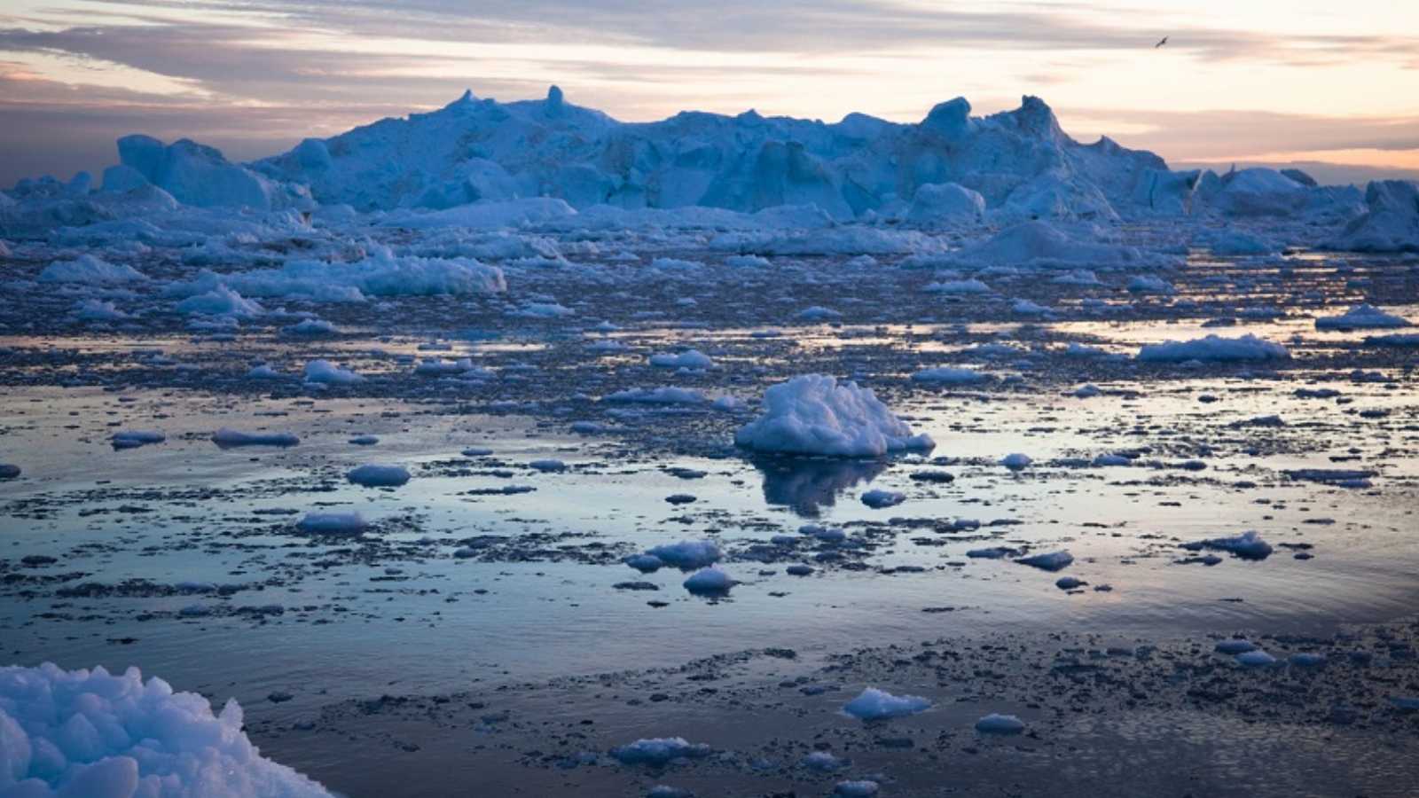 Доклад на тему северный ледовитый океан сообщение (описание для детей)