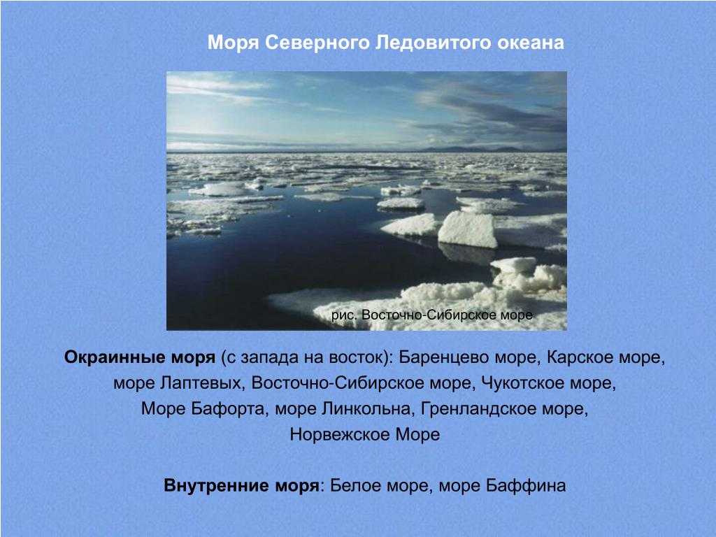 Доклад белое море 3, 4, 8 класс сообщение
