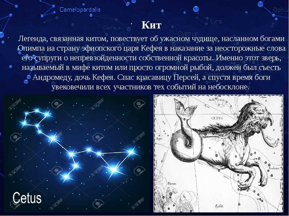 Проект созвездия и мифы секреты звездного неба