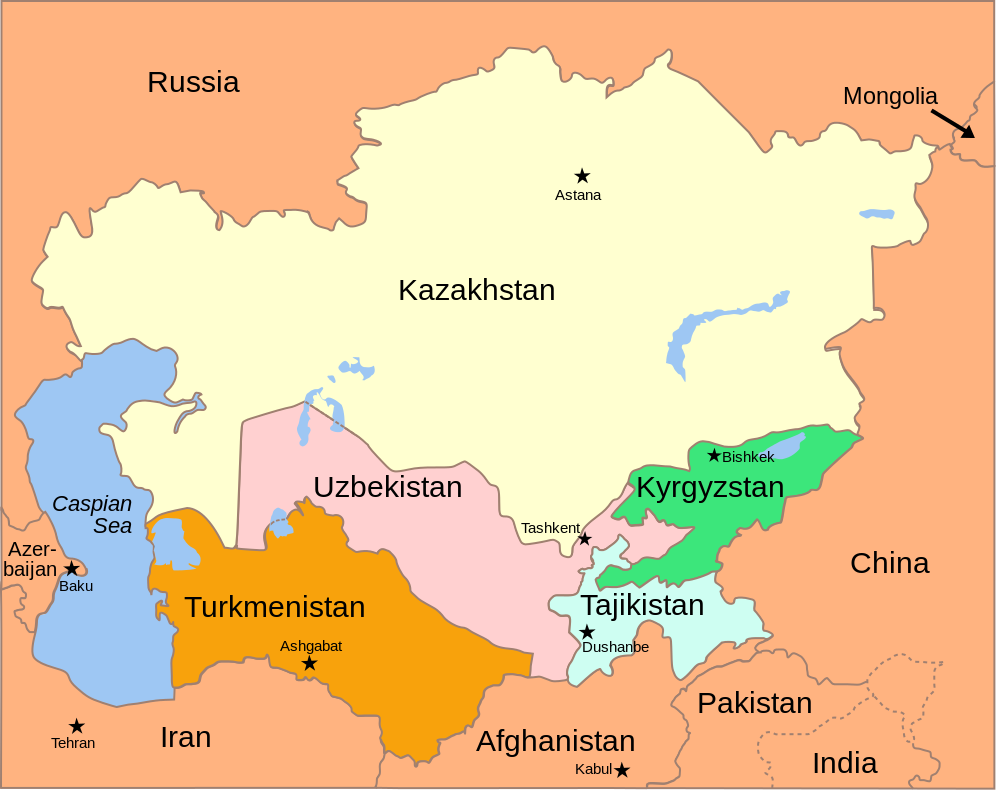 Где находится таджикский. Средняя Азия карту средней Азии карту средней Азии. Государства средней Азии на карте. Карта среднеазиатских республик. Политическая ЕКАРТА средней Азии.