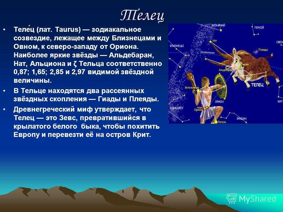 Созвездие телец презентация