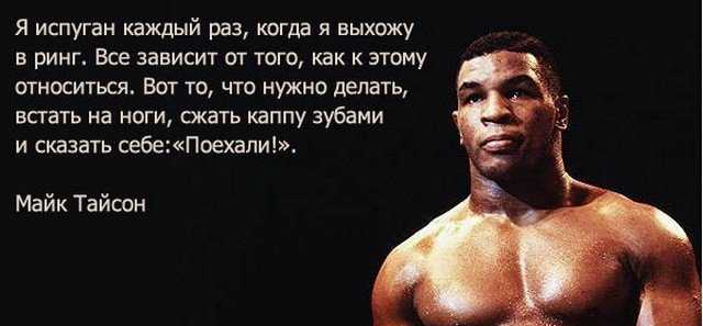 Биография майка тайсона, интересные факты о семье живой легенды