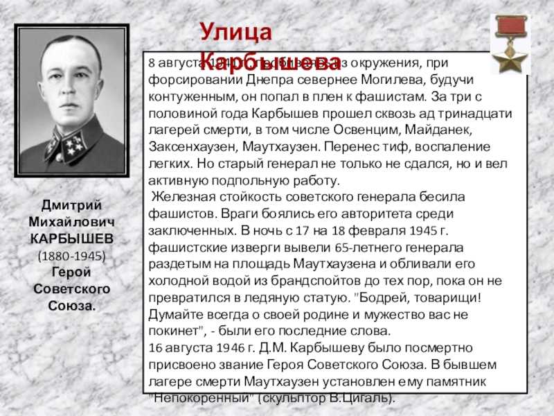 Проект дмитрий карбышев